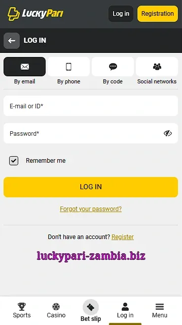 Email login form screen
